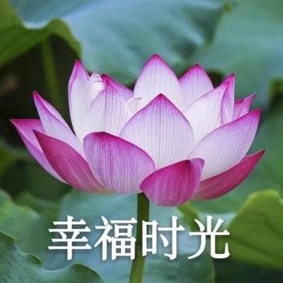 御魂天下手游(暂未上线)v1.0 安卓版