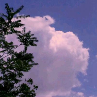 白蛇诛仙果盘最新版下载